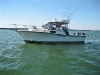 boat-3_new boat-3_new