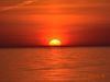 DSC_0784 DSC_0784